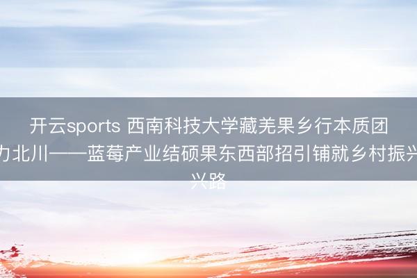开云sports 西南科技大学藏羌果乡行本质团助力北川——蓝莓产业结硕果东西部招引铺就乡村振兴路