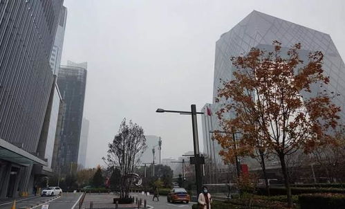 北京新国贸上线火鸡大餐,外卖比堂食还能省300块