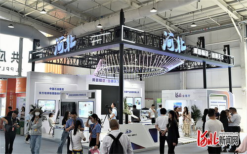 顶尖平台 引流 , 河北服务 以特制胜 探访2024年服贸会河北参展企业