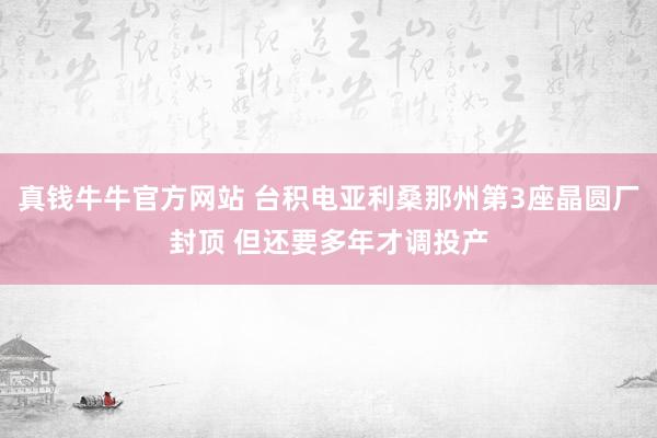 真钱牛牛官方网站 台积电亚利桑那州第3座晶圆厂封顶 但还要多年才调投产