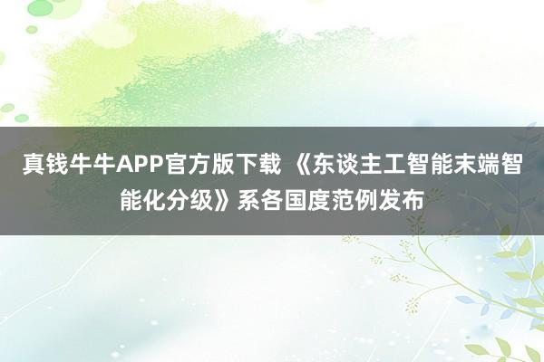 真钱牛牛APP官方版下载 《东谈主工智能末端智能化分级》系各国度范例发布