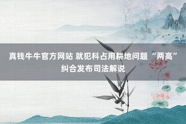 真钱牛牛官方网站 就犯科占用耕地问题 “两高”纠合发布司法解说