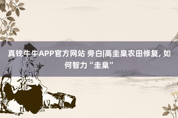 真钱牛牛APP官方网站 旁白|高圭臬农田修复, 如何智力“圭臬”