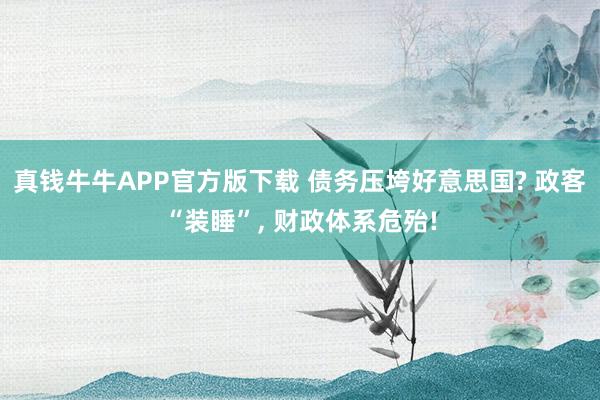 真钱牛牛APP官方版下载 债务压垮好意思国? 政客“装睡”, 财政体系危殆!