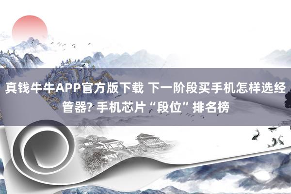 真钱牛牛APP官方版下载 下一阶段买手机怎样选经管器? 手机芯片“段位”排名榜