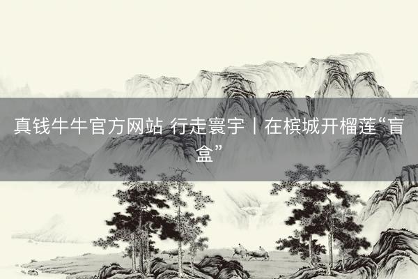 真钱牛牛官方网站 行走寰宇丨在槟城开榴莲“盲盒”