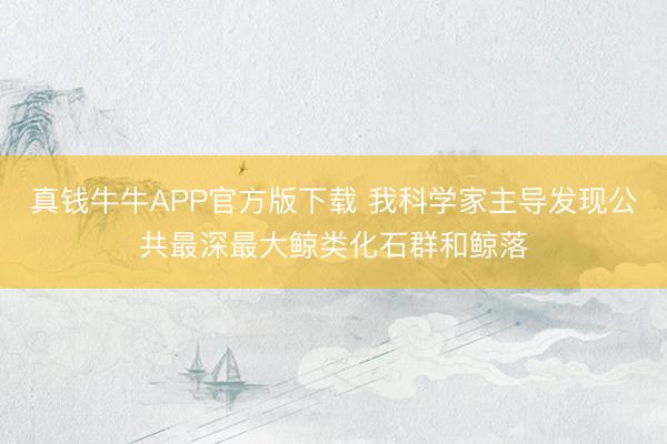 真钱牛牛APP官方版下载 我科学家主导发现公共最深最大鲸类化石群和鲸落