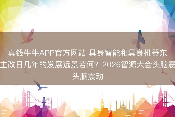 真钱牛牛APP官方网站 具身智能和具身机器东谈主改日几年的发展远景若何?2026智源大会头脑震动